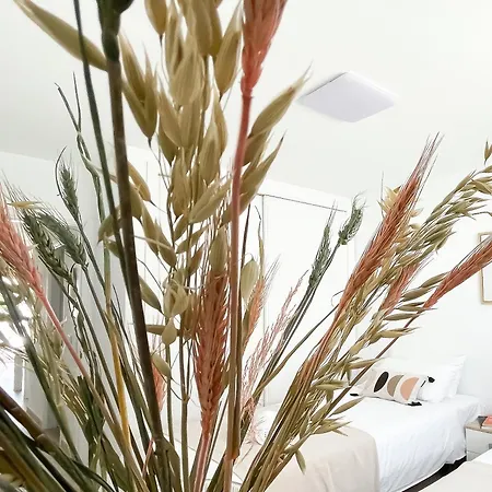 Daire View By Holidays Fuerteventura